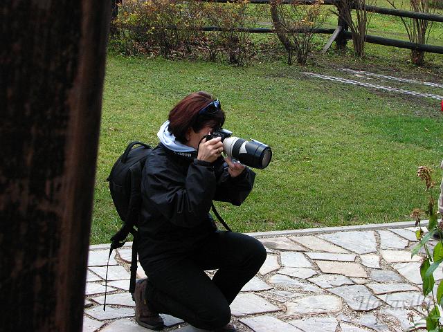 Pawel (299).JPG - Ostatnie tegoroczne kwiaty, trzeba je uwiecznić...